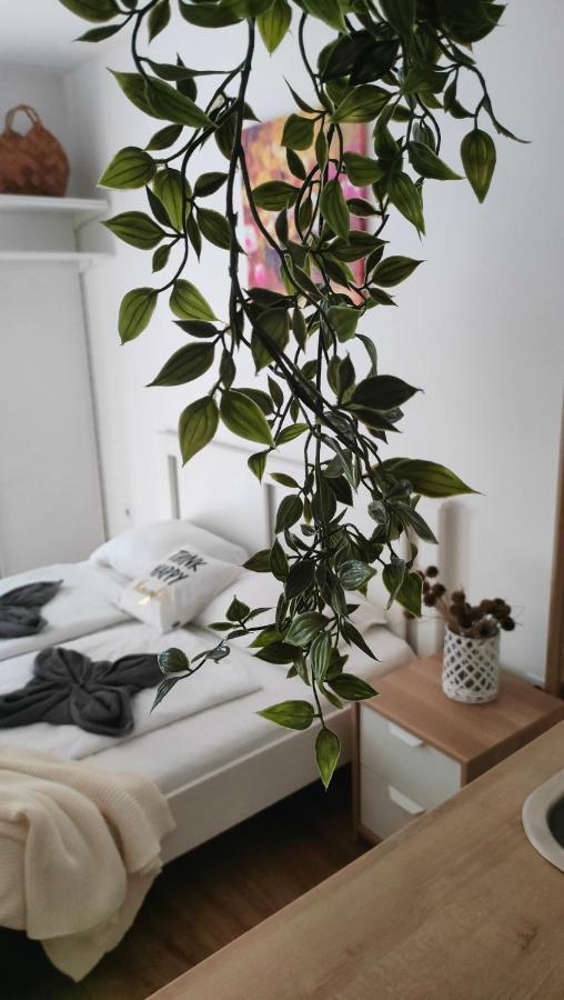 Super Cozy & Central Apartment Budapest Esterno foto